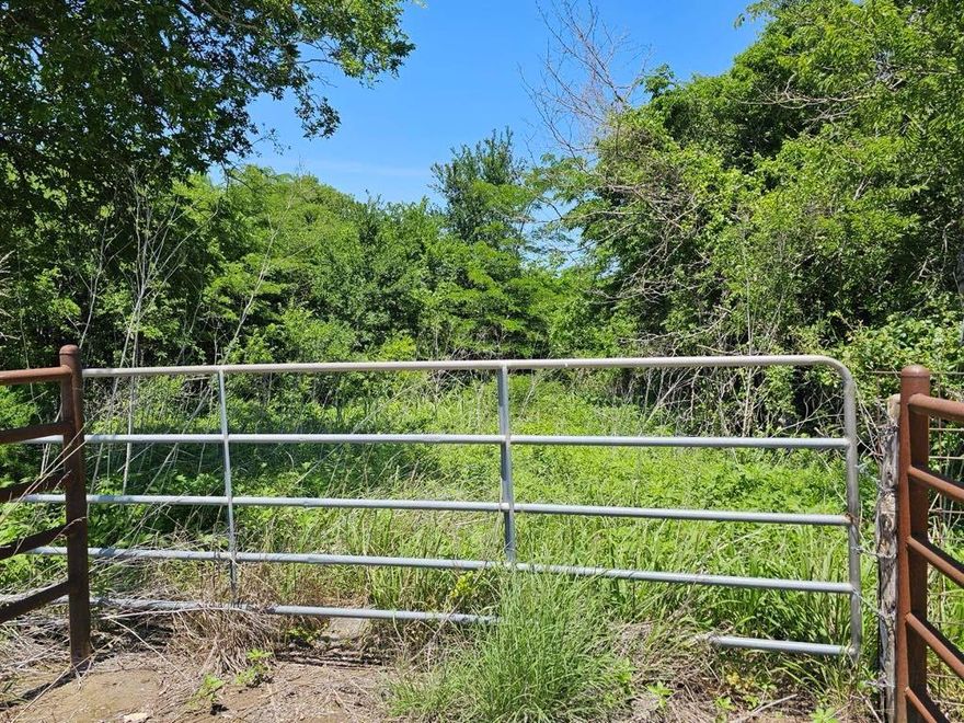 This heavily treed 13 ag exempt acres  has a stock tank no HOA and no restrictions. Whether you envision a cozy farmhouse, a spacious barndominium, or a comfortable mobile home retreat, this land is a welcoming canvas for your vision.
Invest in a piece of land with wide-open possibilities for residential development, agriculture, or recreational use. Enjoy the tranquility of rural life while still being conveniently close to nearby amenities. Don't miss this opportunity to own a piece of Texas paradise. Located in Mount Calm School District. This is a rare find that won't last long!