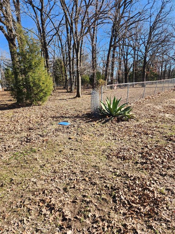 TBD Lost Forest Road