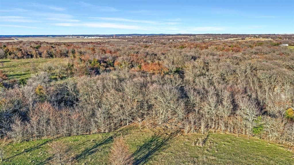 TBD 87 Acres Reynolds Lane