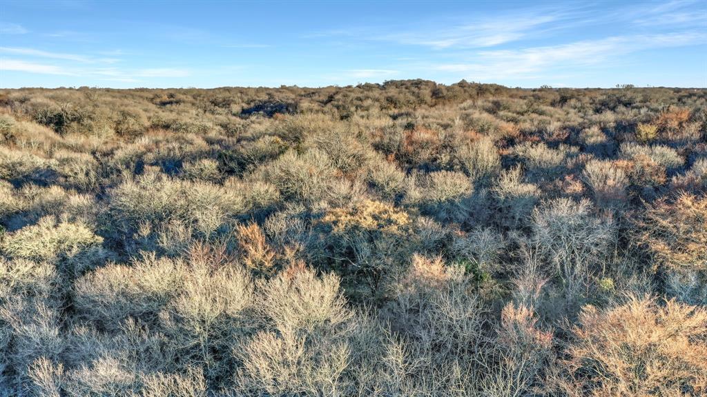 TBD 87 Acres Reynolds Lane