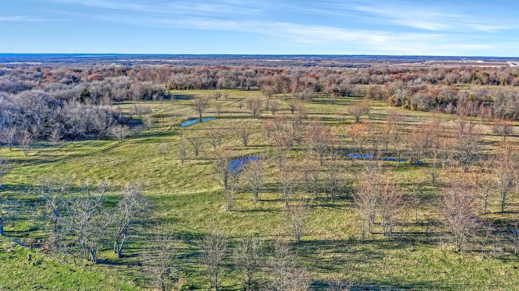 Thomas J Hambright - Farm