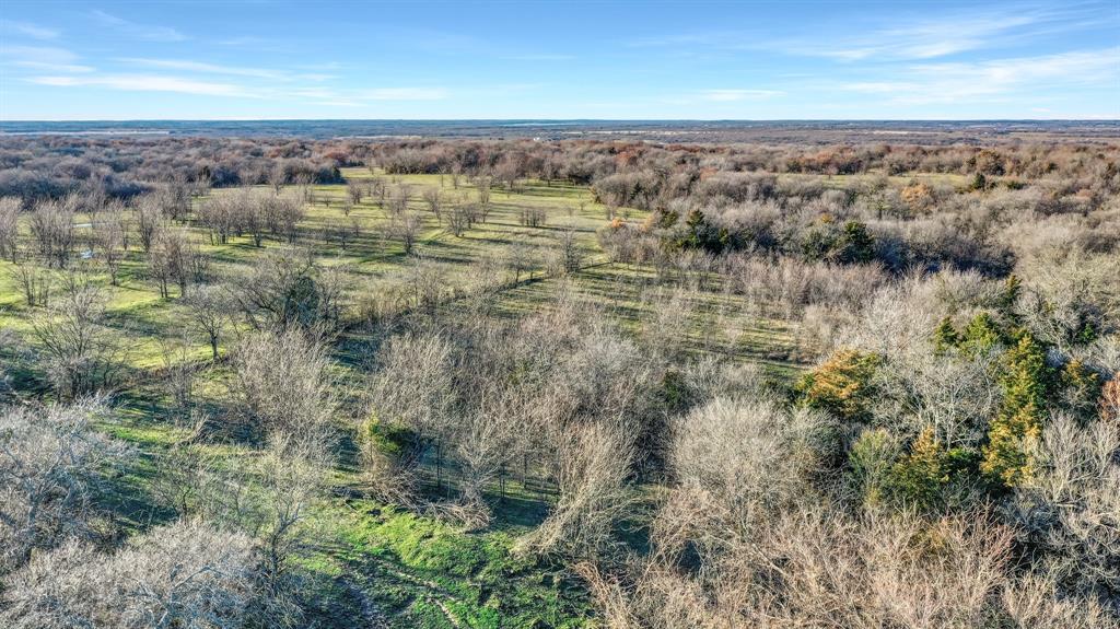 Thomas J Hambright - Farm