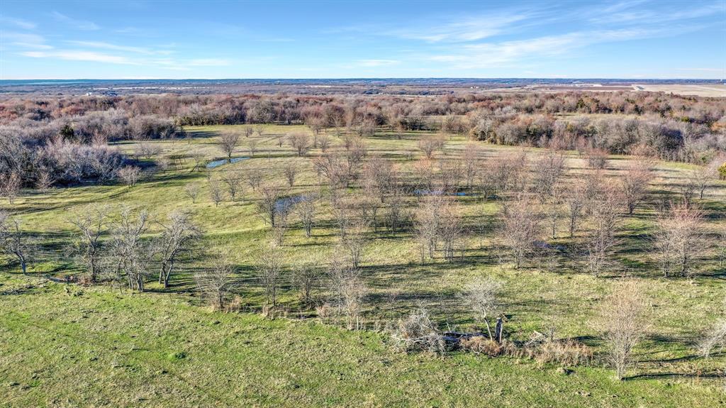 Thomas J Hambright - Farm