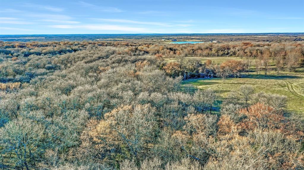 Thomas J Hambright - Farm