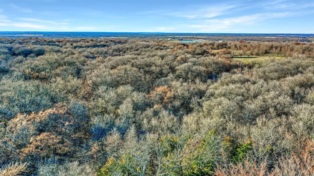 Thomas J Hambright - Farm