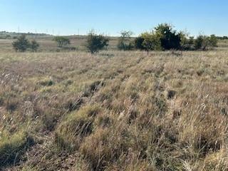 Bear Creek Estates - Land