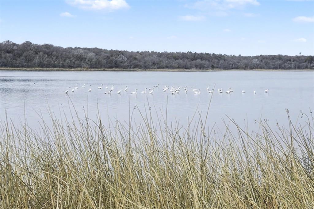 Estancia - Residential