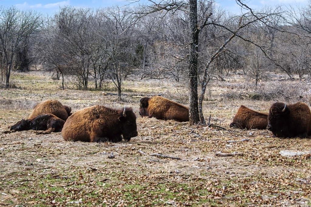 Estancia - Residential