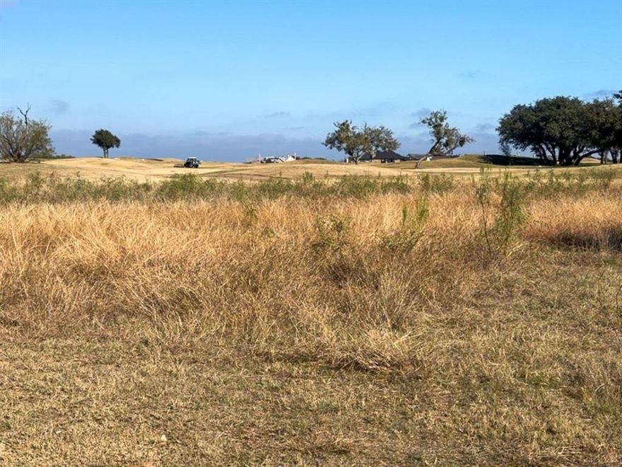 OWNER FINANCING AVAILABLE! GOLF COURSE LOT! Build your ideal weekend retreat or full-time residence on this beautiful property located directly on the #1 fairway of the prestigious Cliffs Resort golf course. Lot 2 is across the street from the resort pool and just a short one-minute walk to the clubhouse restaurant, offering convenience and luxury in one perfect setting. This premier location blends natural beauty with upscale resort living—an ideal haven for golf enthusiasts and nature lovers alike.