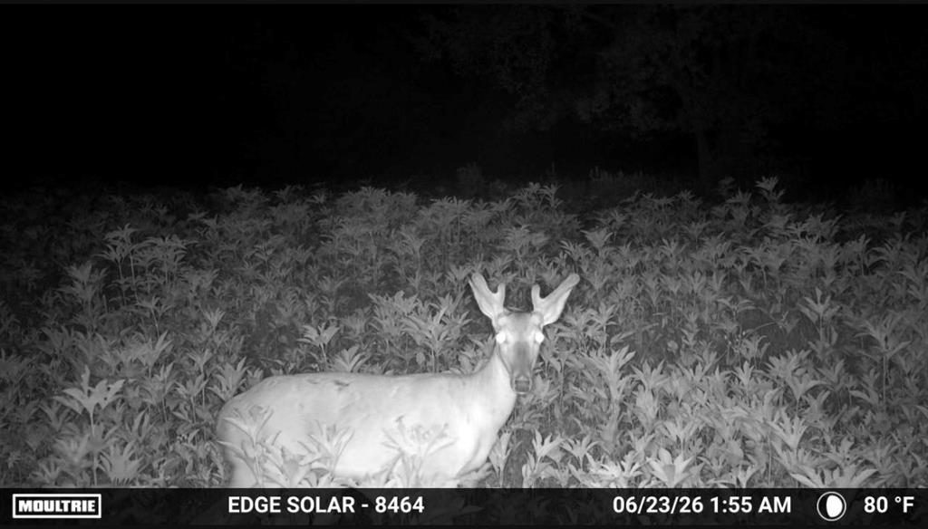 0000 County Road 2610