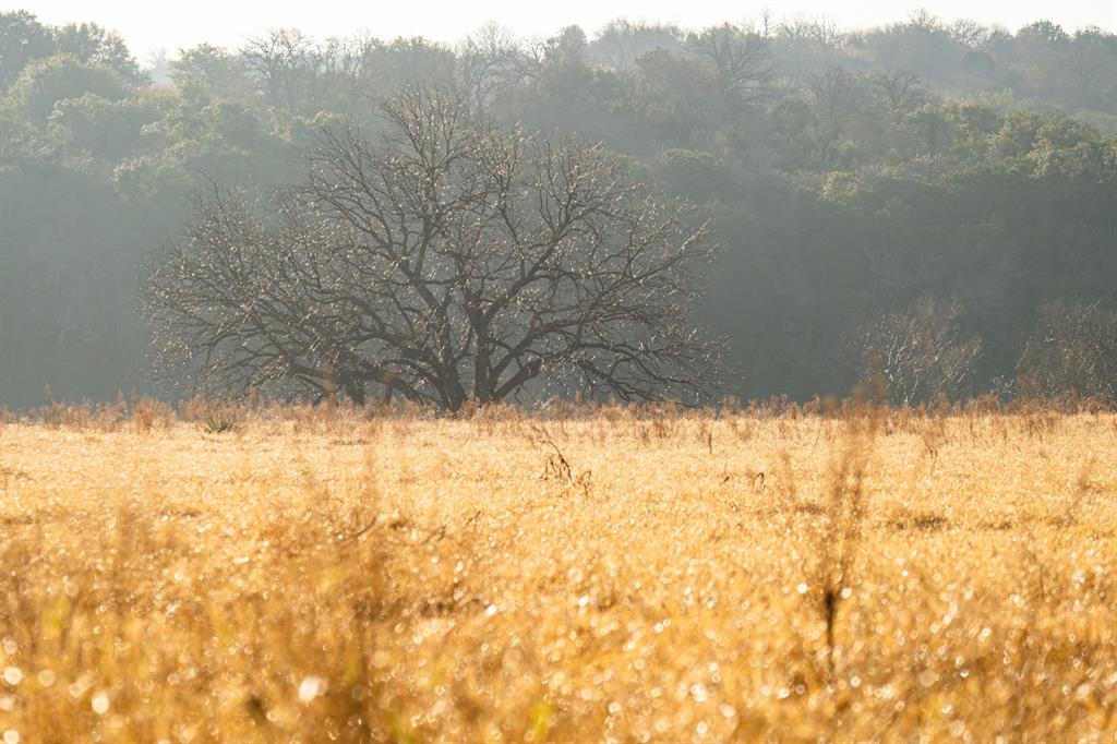 Brazos Mountain Ranch Ph 2 - Land