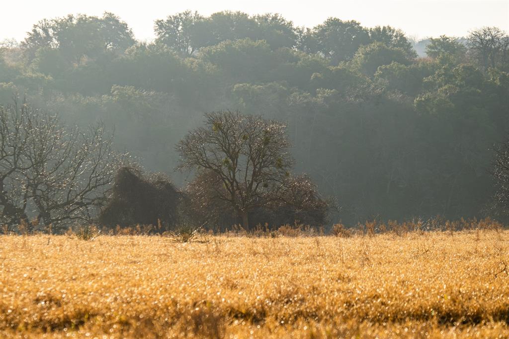 Brazos Mountain Ranch Ph 2 - Land