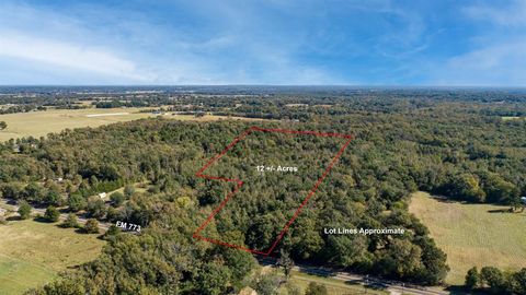 10081 fm 773 Ben Wheeler TX 75754