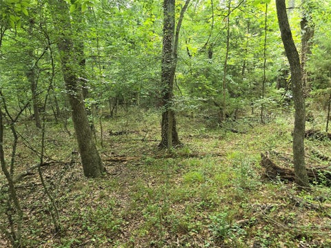 Photo of 9999 County Road 2304, Quinlan, TX 75474 (MLS # 21342759)