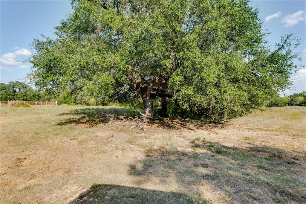 1251 County Road 360