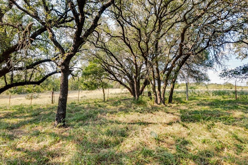 1251 County Road 360