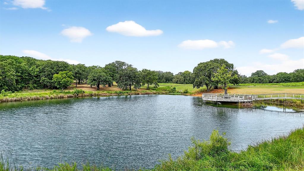 Dionisio Yglesias Surv Abs # 1 - Farm