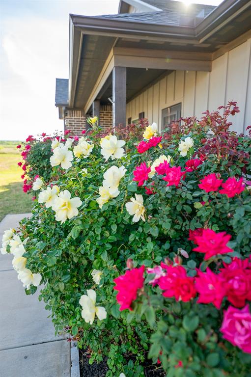 Rafter T Add - Residential