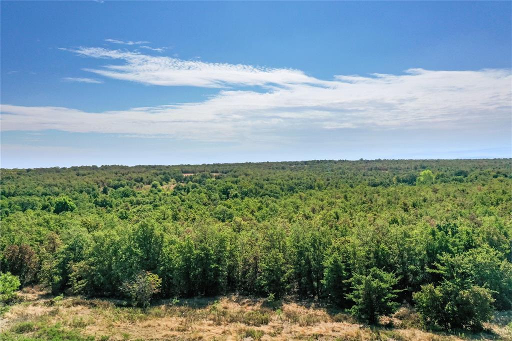 TBD Two Bush Road Road