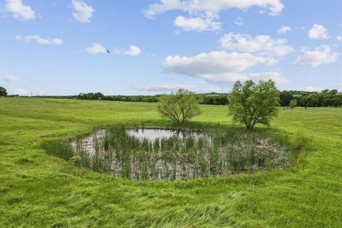 TBD Farm to Market 1562 Road Celeste TX 75423