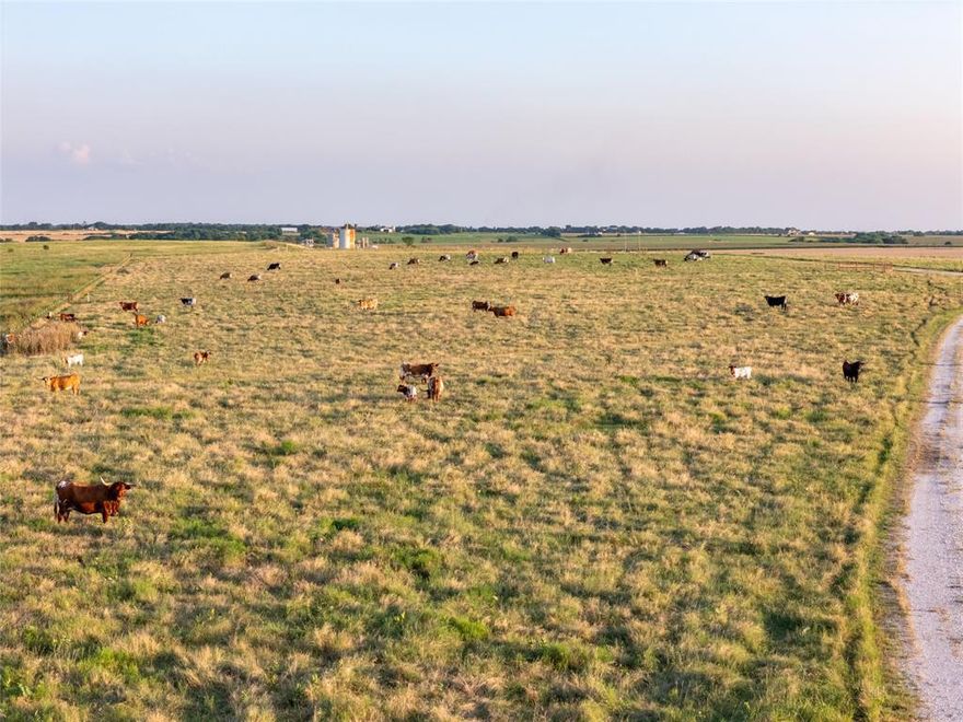 Located just an hour from the DFW metroplex, this prime 250 acre property, with direct access off Highway 51, boasts outstanding road frontage in one of the fastest growing counties in North Texas. The 250 acres is comprised of improved and native pastures that are fenced and cross fenced to allow for cattle management. There are two water wells on property including a Trinity well that has been used for commercial water sales in past. There are also two large tanks for watering livestock.  While the ranch has a rich history of running a purebred cattle operation, it presents immense potential for commercial ventures or future development. Location is key!