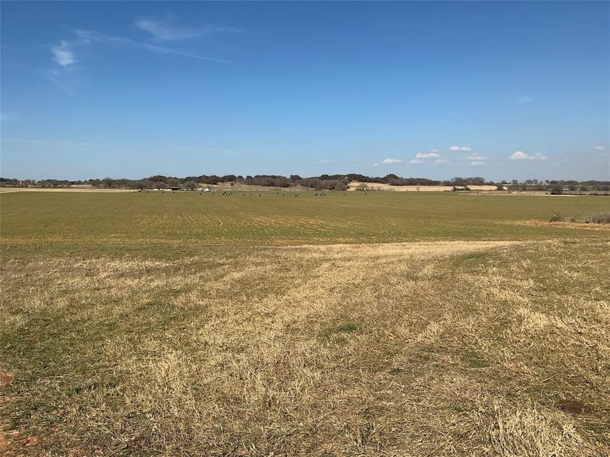 This exceptional 20.23 acre parcel offers the ideal combination of productivity, natural beauty, and convenience. Currently supporting cattle, the land is well-suited for livestock, equine use, or hay production.
Native grasses and open pasture create an ideal environment for grazing and farming.
Located just 13 minutes from downtown Comanche, this property delivers peaceful country living with convenient access to shopping, dining, and schools.
Whether you’re expanding your ranching operation or investing in Texas land, this versatile property is ready to meet your vision.