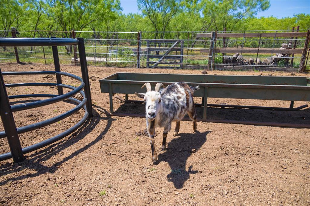 Coopers Prairie Sub - Farm