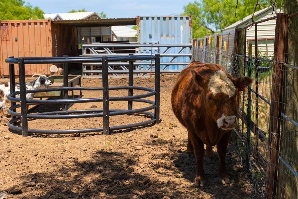 Coopers Prairie Sub - Farm