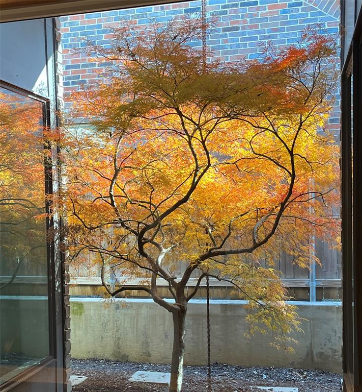 Country Club Heights - Residential