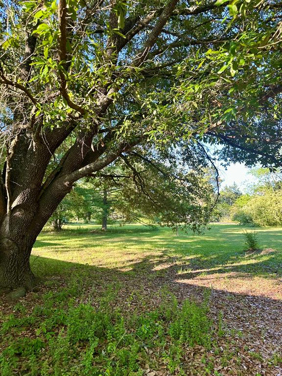 Cloverleaf Acres #2 - Land