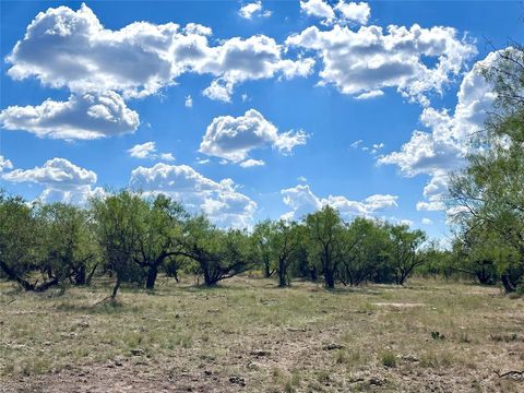 TBD TBA County Road 100 Abilene TX 79601