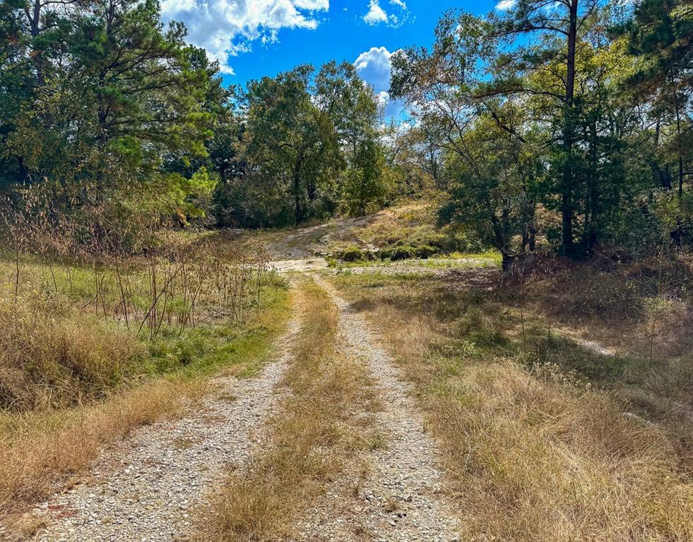 1 Wood Farm Road
