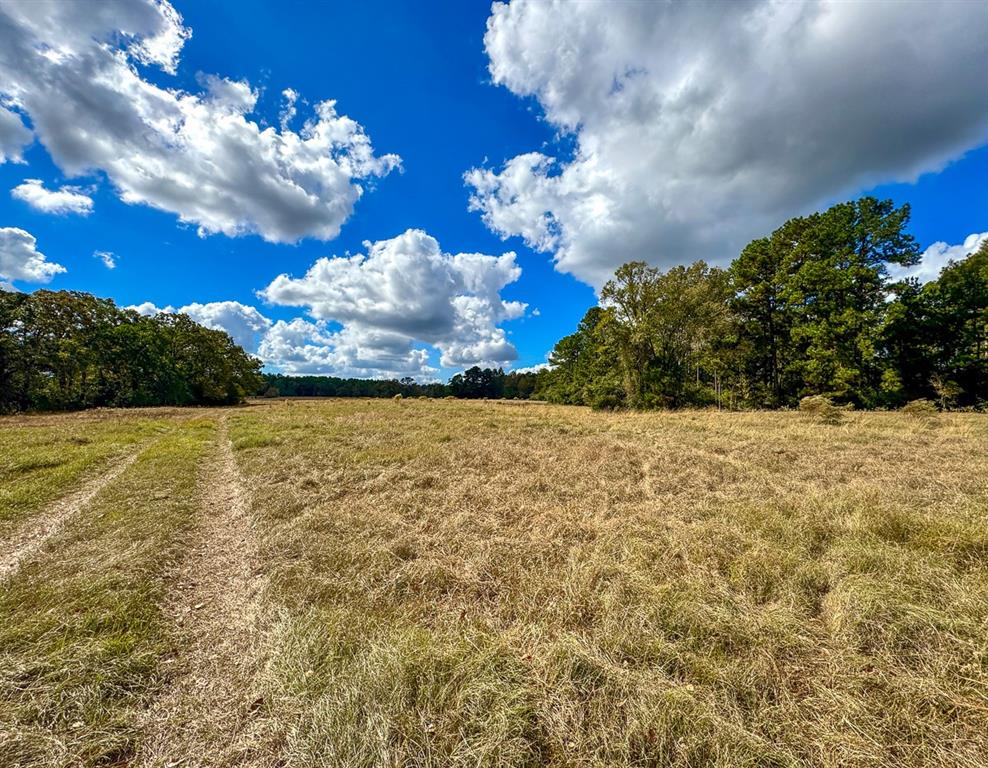 1 Wood Farm Road