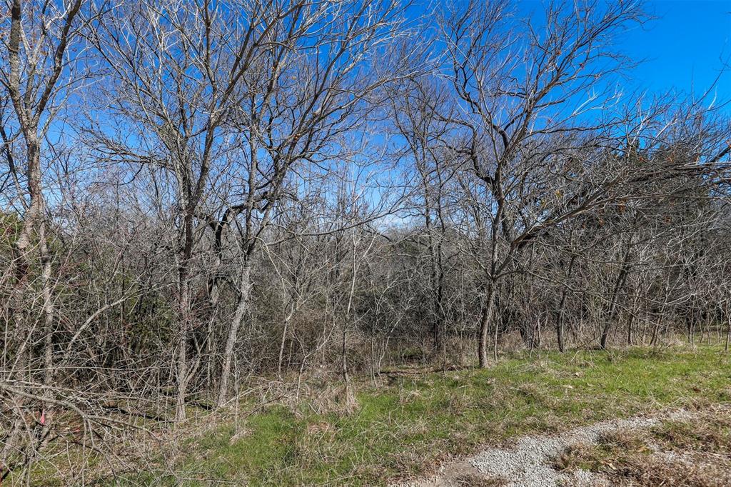 White Bluff #38 - Land