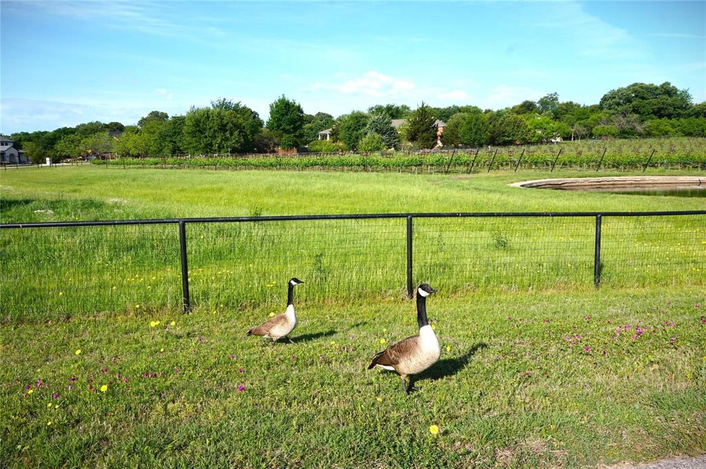Vineyard Heights - Residential