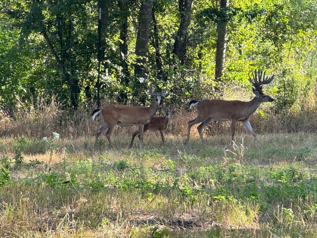 Lakepointe Ph III - Residential