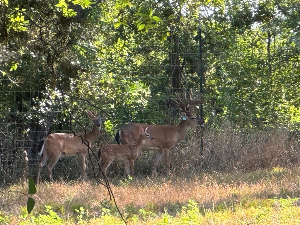 Lakepointe Ph III - Residential