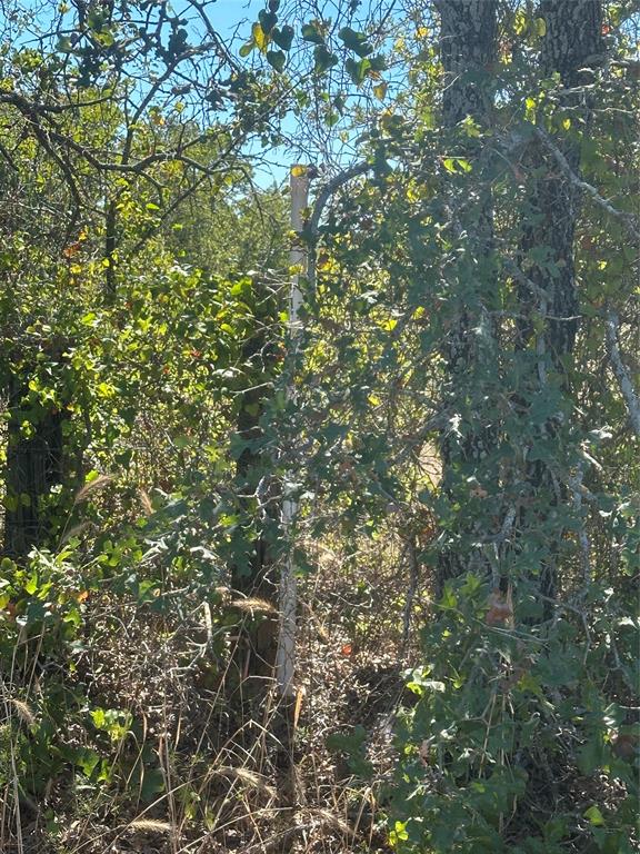 Red Oak Hills - Land