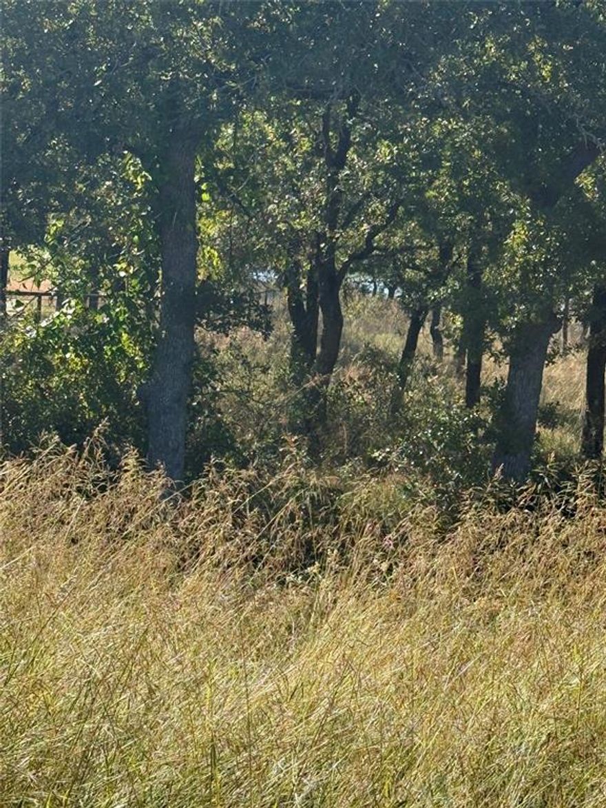 Secluded and beautiful, build your dream home or vacation retreat on this magnificent lot tucked away on the shores of Lake Bridgeport. You will find breathtaking views and direct access to the lake and all the amenities this wonderful community. The shared amenities include a community pool and boat dock. You can also have a private dock for your lake enjoyment. If you love the beauty of nature, you will also love the abundance of wildlife in this area. The neighborhood boasts of many beautiful homes and you will want to be the next.