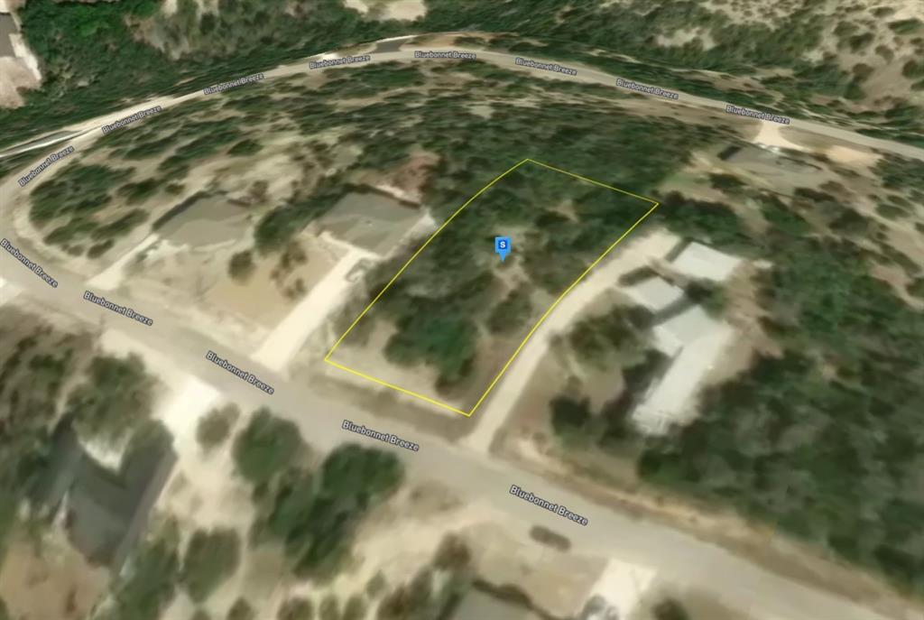 196 Bluebonnet Breeze