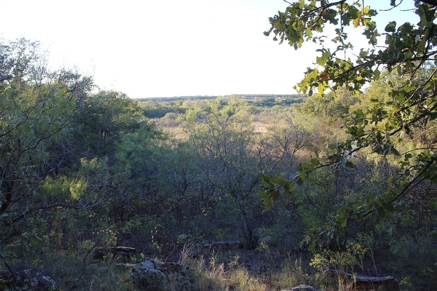 10 acres located southwest of Nocona ,Tx off of Hwy 82, and just a short drive from the Eureka School Road turn off.  This stunning 10 acre parcel is a nature lover's paradise! It's time to live your Ranch Life Dream! The land is heavily wooded, providing a sense of seclusion and privacy, making it an ideal sanctuary for those seeking a serene retreat. The property's topography is a delightful mix of flat and elevated terrains, with the higher elevation revealing  a striking feature-rock outcroppings! These natural formations add a rugged charm to the landscape, offering a dramatic backdrop and potential for unique landscaping features. The property's size and layout offer endless possibilities for development  whether you're dreaming of a secluded family home or a rustic retreat. Abundant wildlife. Owner financing available.