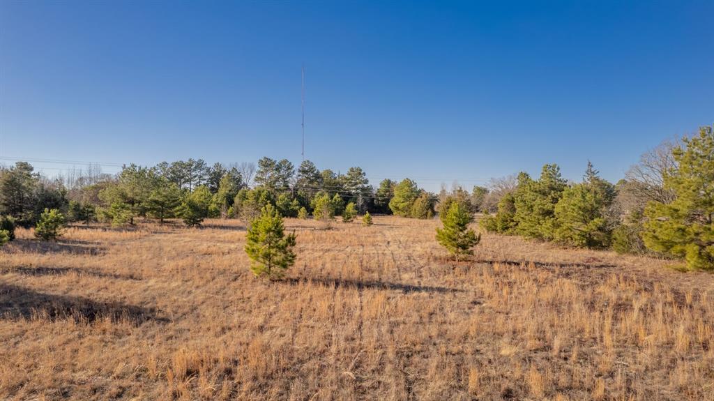 Sandy Ridge Estates - Land