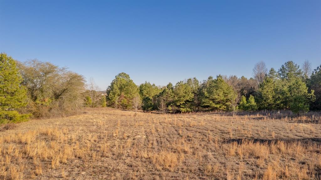 Sandy Ridge Estates - Land