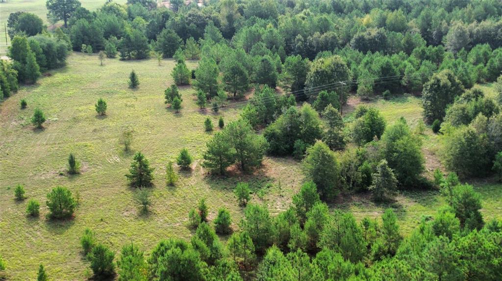 Sandy Ridge Estates - Land