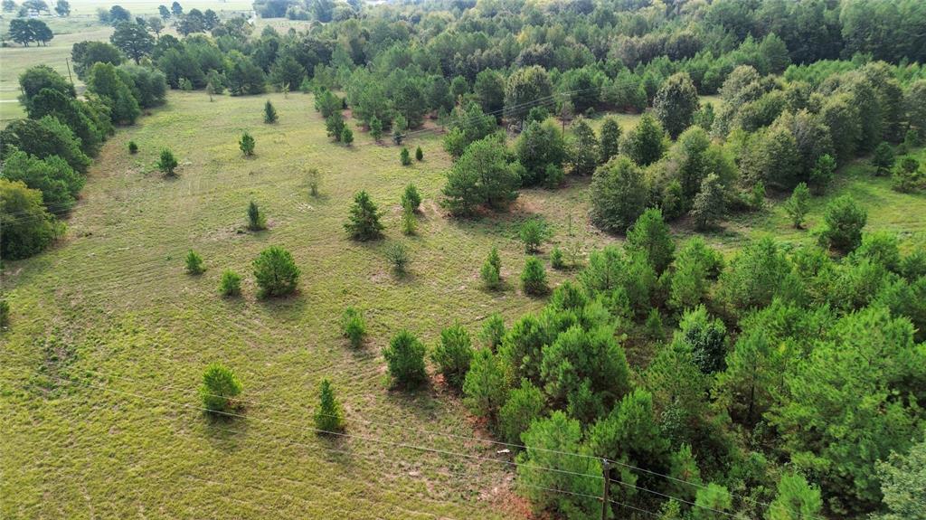 Sandy Ridge Estates - Land