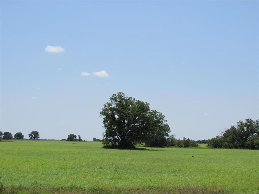 Come check out this opportunity to own a 102 plus acres in Carbon.  Property features sandy loam soil, seasonal tank, mature oaks, mesquite and willow trees.  Approximately 55 acres is improved coastal and produced 320 round bales in the 2023 dry year.  Property has been fertilized and treated for grasshoppers for the last several years.  Property has good perimeter fence, electricity and coop water.  Recently added 2 frost-free hydrants.  Come enjoy the beautiful wild life and peaceful living.  There are endless possibilities with this property!