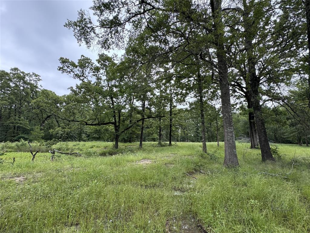 Lake Fork Estates - Land