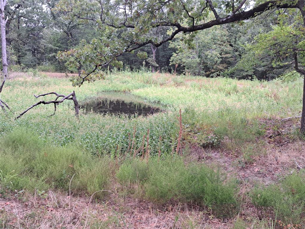 Lake Fork Estates - Land