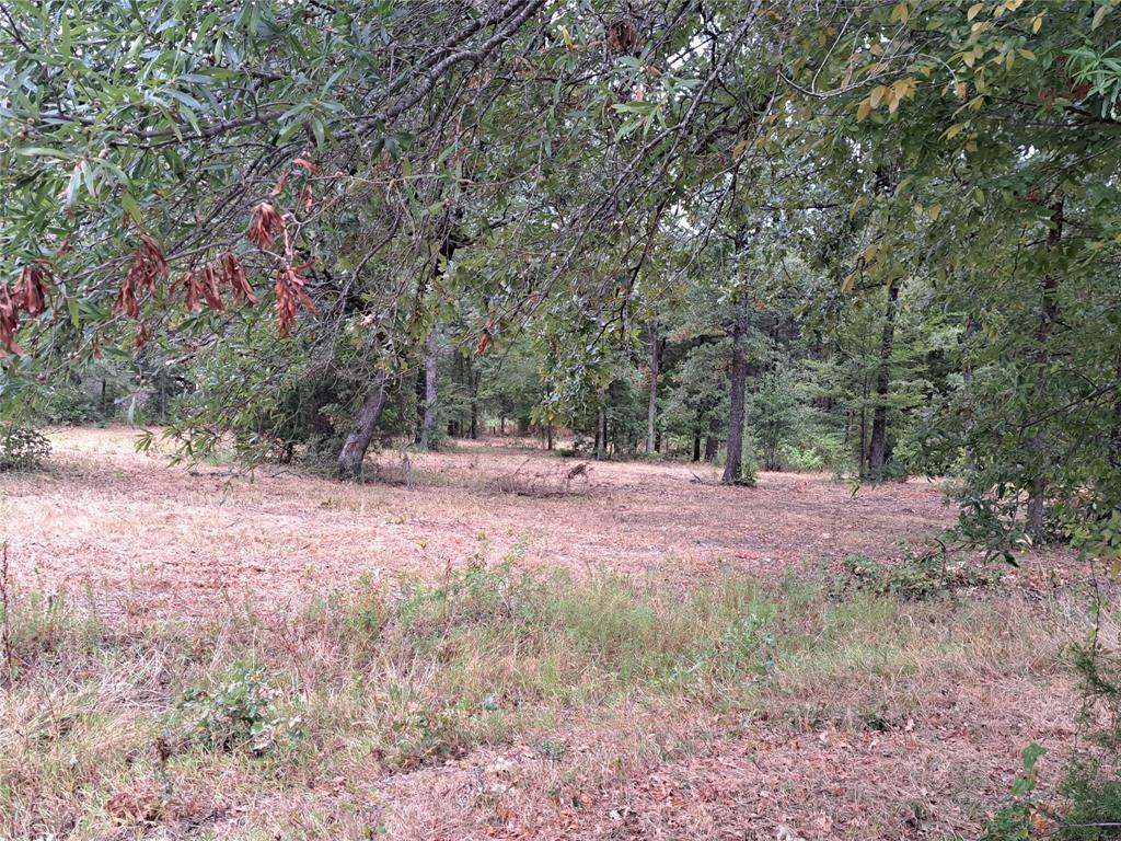 Lake Fork Estates - Land