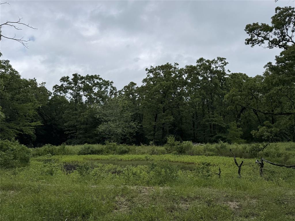 Lake Fork Estates - Land